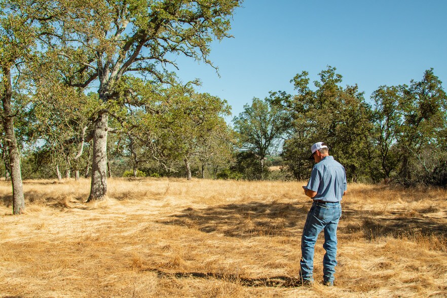 More Photos Of 4471 Buena Vista Rd, Ione Land For Sale