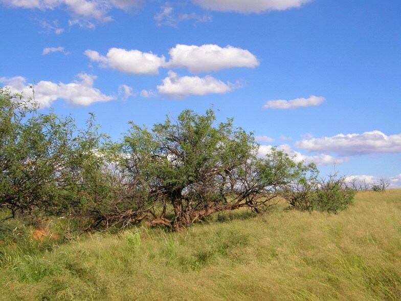 More Photos Of E Cochise Trl, Saint David Land For Sale