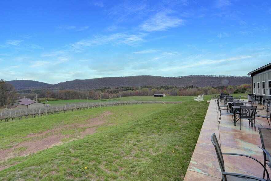More Photos Of 596 Harman Rd, Halifax Winery Vineyard For Sale