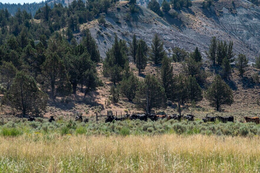 More Photos Of 32611 Tackman Rd, Prineville Land For Sale