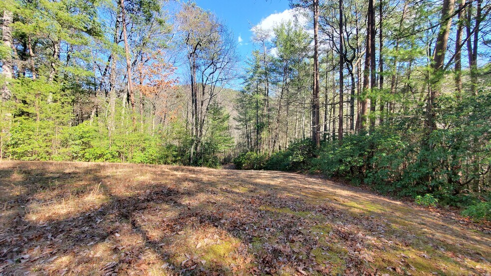 More Photos Of Mountain Cove Estates Rd, Cherry Log Land For Sale