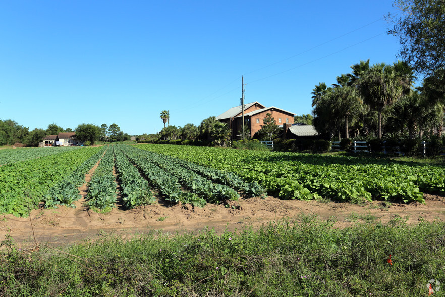 Primary Photo Of 4100 Fm-2920, Spring Land For Sale