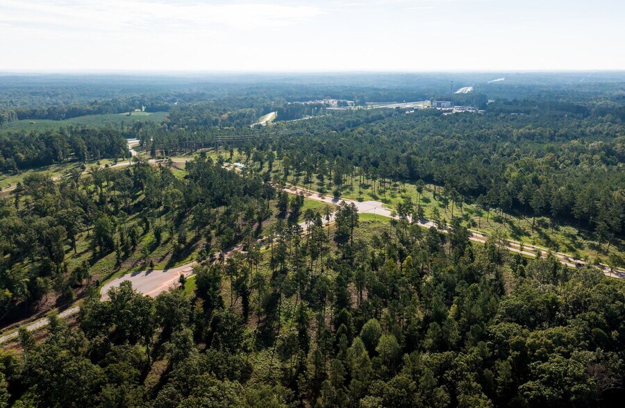 More Photos Of 301 Brighton Blvd, Chapin Land For Sale