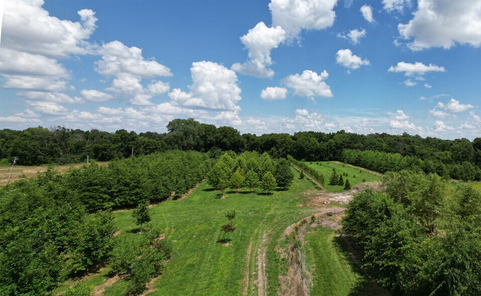 More Photos Of 22701 Timberview Rd, Harrisonville Land For Sale
