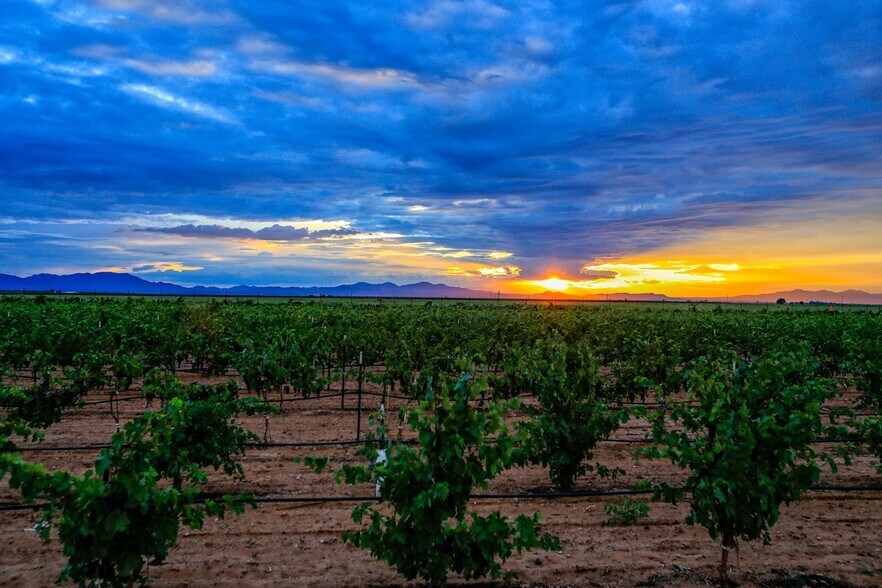 More Photos Of NWC E Kimzey Rd and Bell Ranch Rd, Willcox Land For Sale