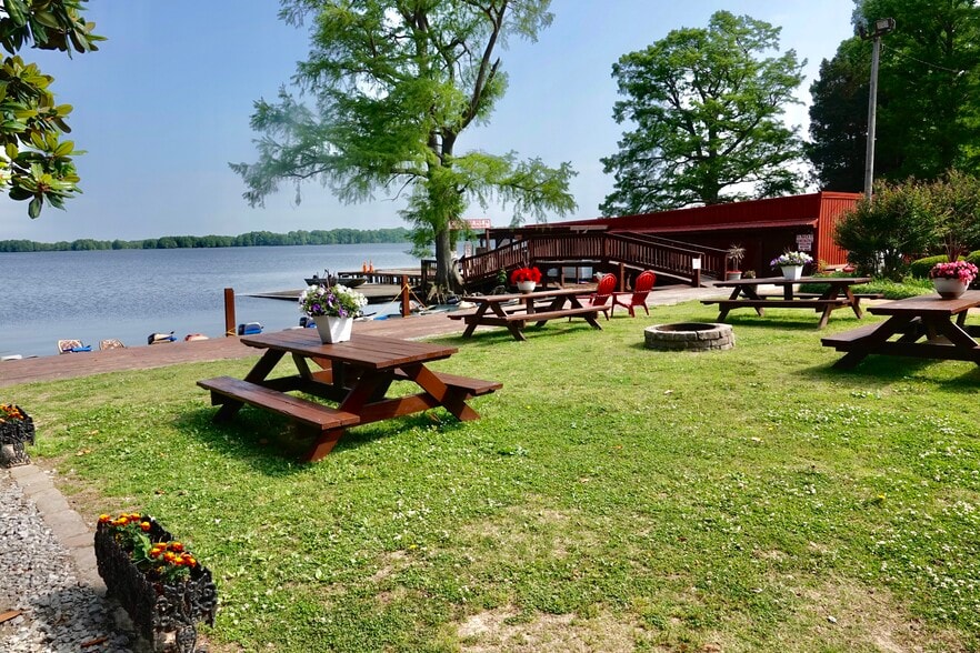 More Photos Of , Hornbeak Unknown For Sale