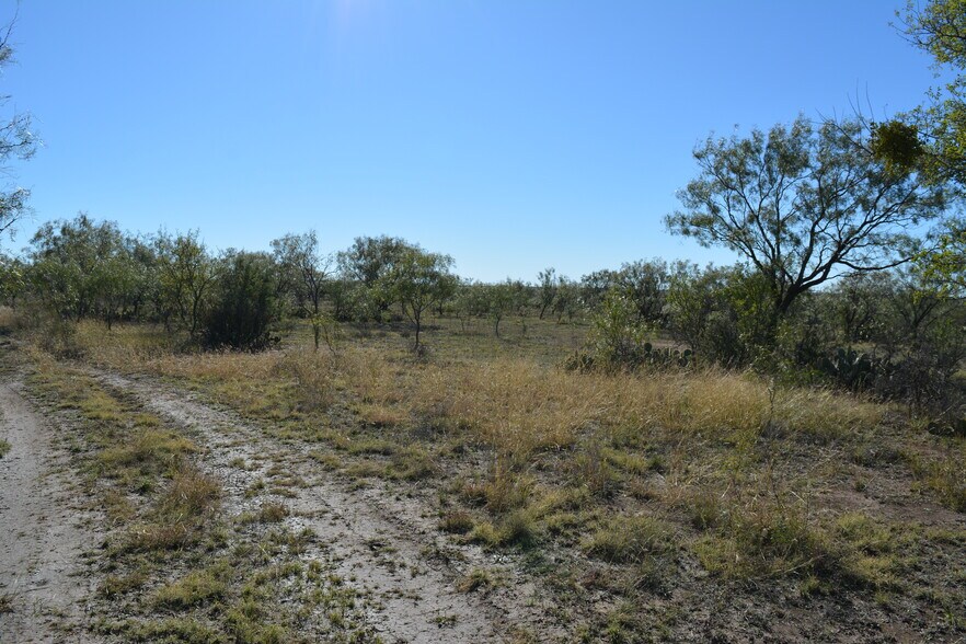 More Photos Of CR 1329, Paint Rock Land For Sale