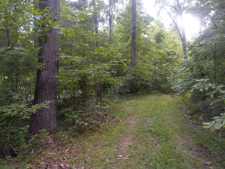 More Photos Of 1737A High Rock Rd, Stanton Land For Sale