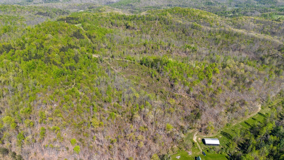 More Photos Of Knipp Branch, Grayson Land For Sale