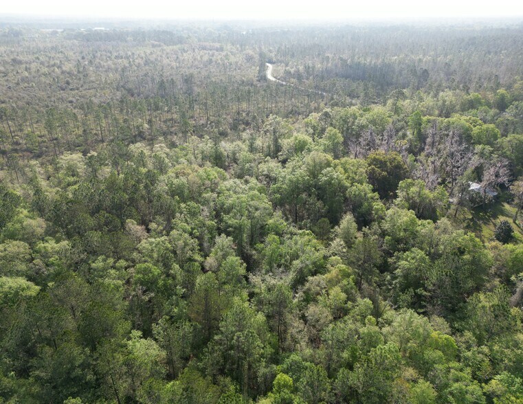 More Photos Of 17339 NW State Road 16, Starke Land For Lease