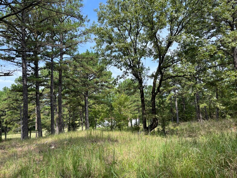 More Photos Of 27546 Reservation Rd, Daisy Land For Sale