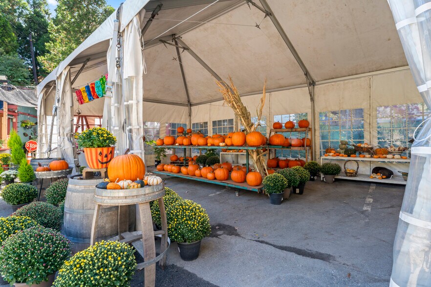 More Photos Of 303 CA-173 Hwy, Lake Arrowhead Garden Center For Sale