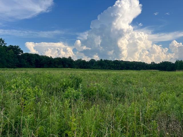 More Photos Of Harrison Street US Hwy 69, Batesville Land For Sale