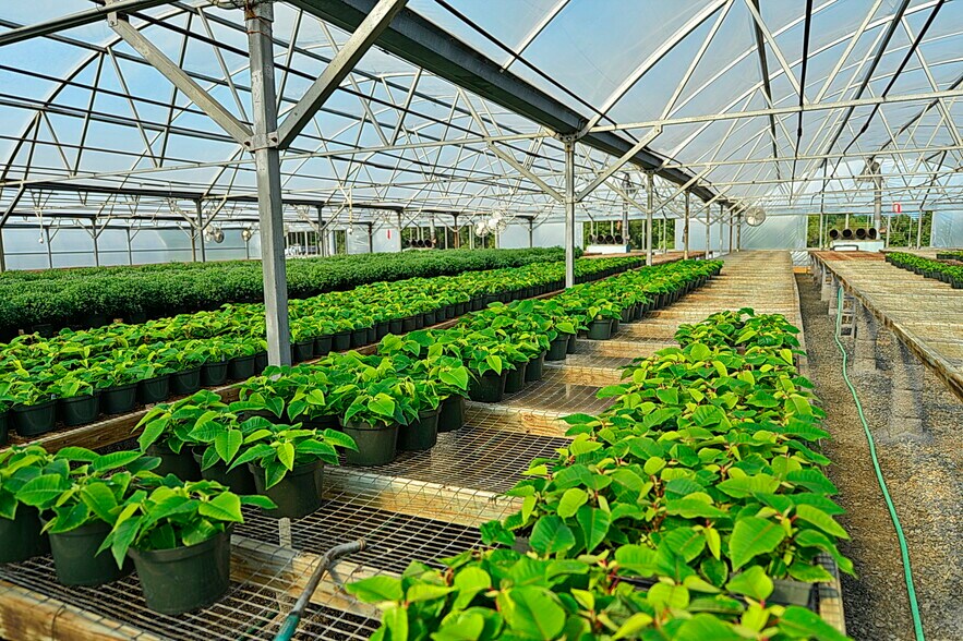 More Photos Of 39501 Meadowlark Dr, Hamilton Land For Sale