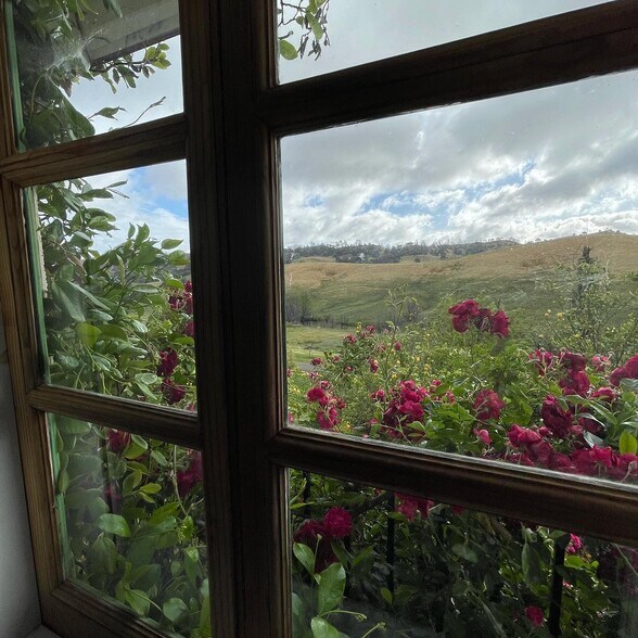 More Photos Of 7539 Pleasants Valley Rd, Vacaville Specialty For Sale