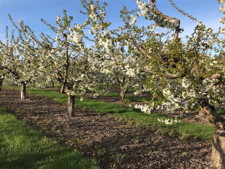 More Photos Of 32624 S Finley Point Rd, Polson Specialty For Sale