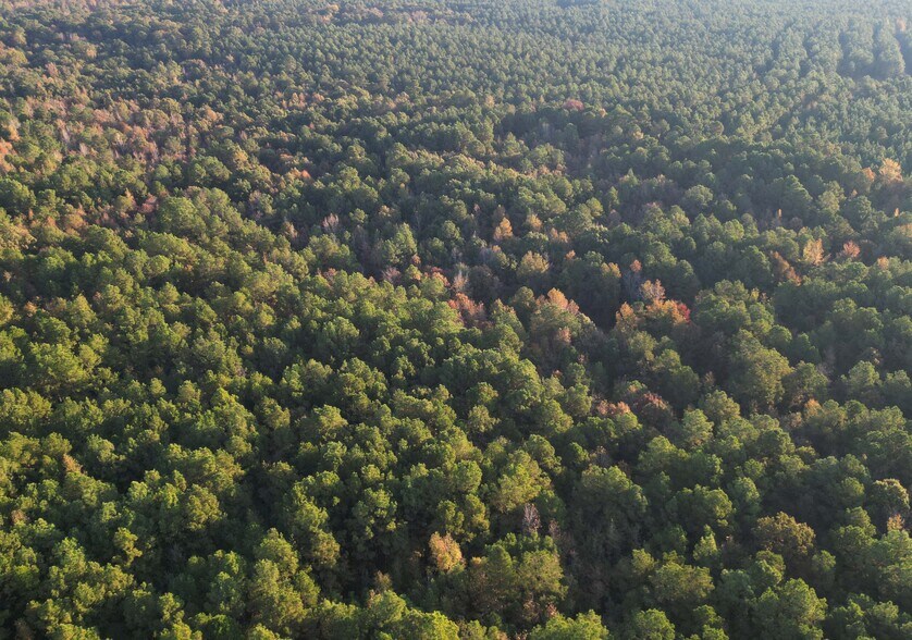 More Photos Of TBD Miller County 32, Doddridge Land For Sale