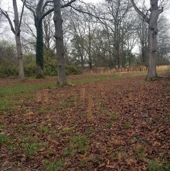 More Photos Of 1862 Railroad St, Statham Land For Sale