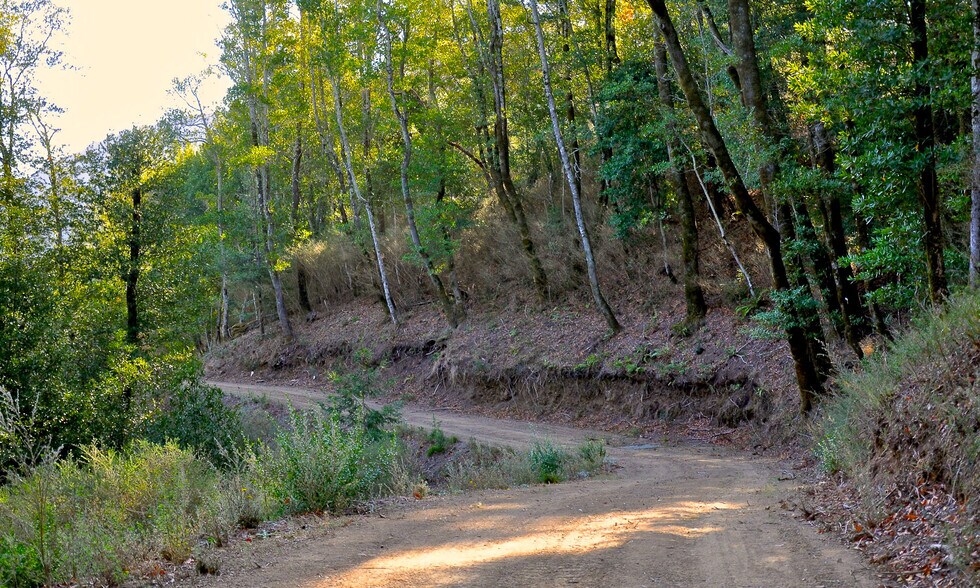 More Photos Of 128 Ridgecrest Road, Kentfield Land For Sale