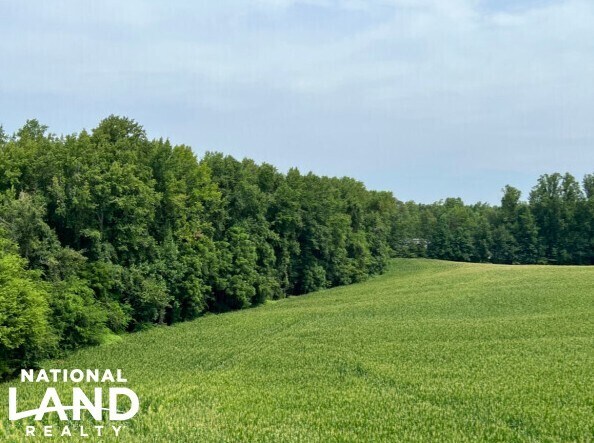 More Photos Of 5259 Ladysmith Rd, Ruther Glen Land For Sale