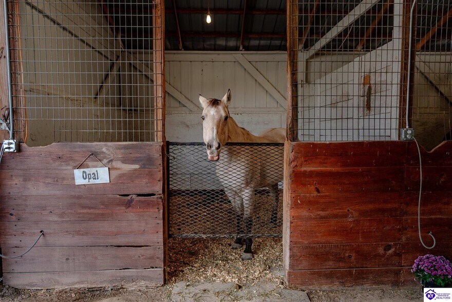 More Photos Of 441 Knob View Rd, Russell Springs Horse Stables For Sale
