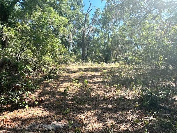 More Photos Of 4140 Kenvera loop, Inverness Land For Sale