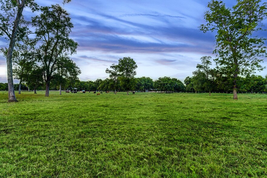 More Photos Of 4309 Bowser Rd, Fulshear Land For Sale