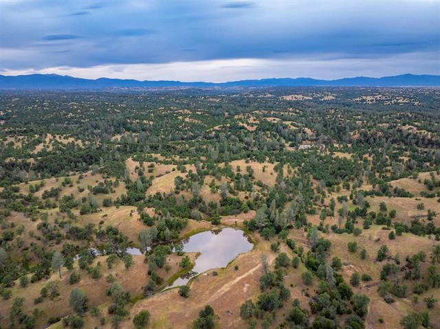 More Photos Of 14015 Hwy 36 W, Cottonwood Land For Sale