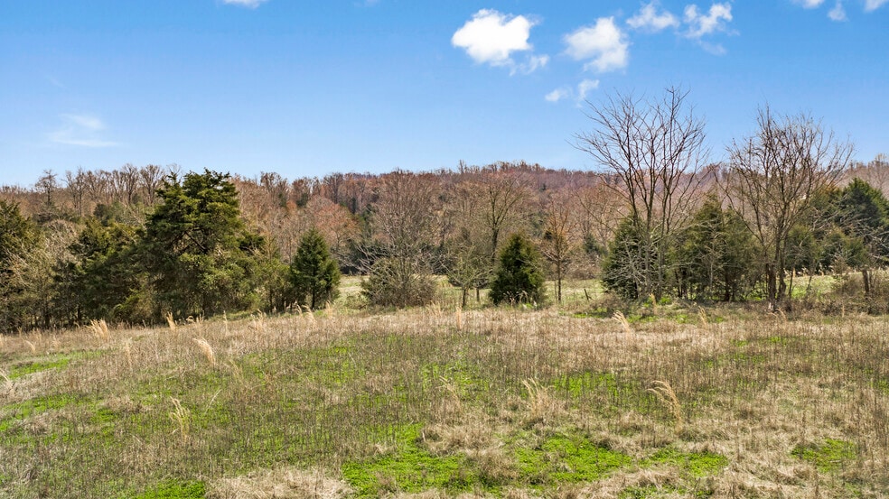 More Photos Of 296 Koontz, Mocksville Land For Sale