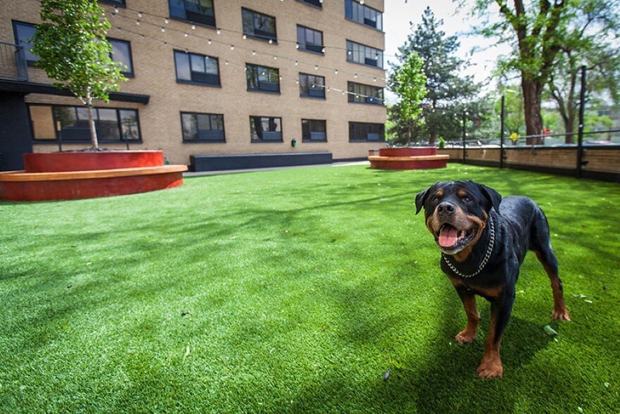 More Photos Of 901 N Sherman St, Denver Apartments For Lease