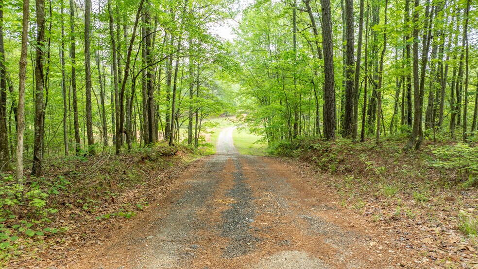 More Photos Of 485 Polk Rd, Moreland Land For Sale