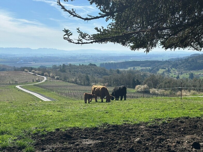 More Photos Of 10660 SW Youngberg Hill Rd, Mcminnville Hotel For Sale