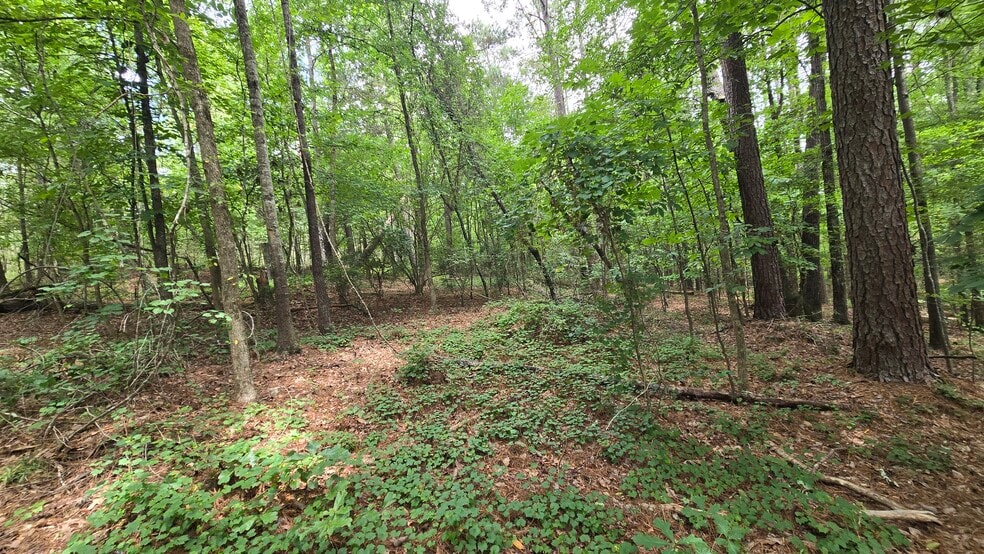 More Photos Of 5171 Ga Highway 138, Loganville Land For Sale