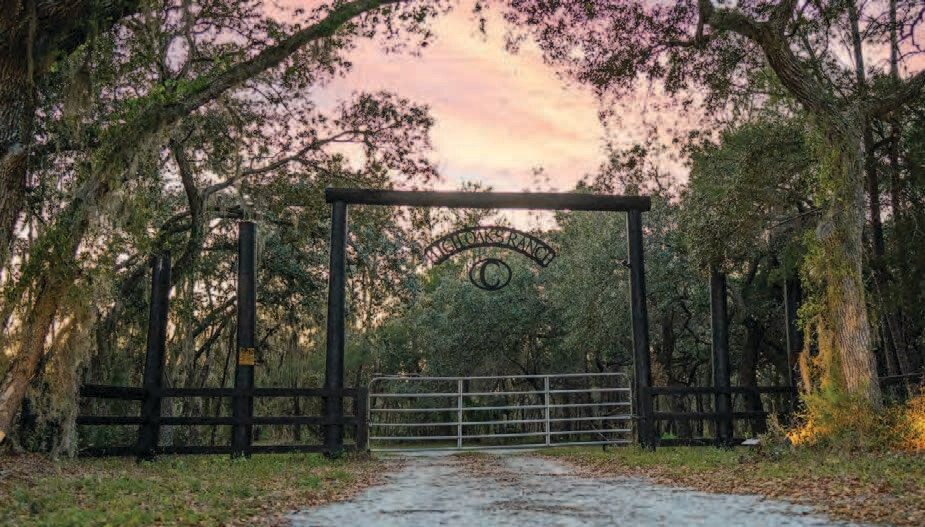 More Photos Of 2580 County 419 rd, Chuluota Land For Sale