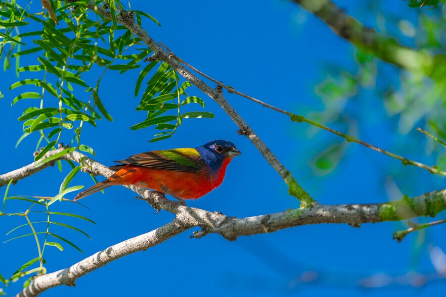 More Photos Of 5279 FM 1117, Nixon Land For Sale