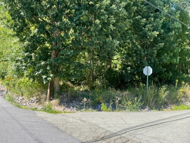 More Photos Of Crisp Ave @ Division St, Scranton Land For Sale