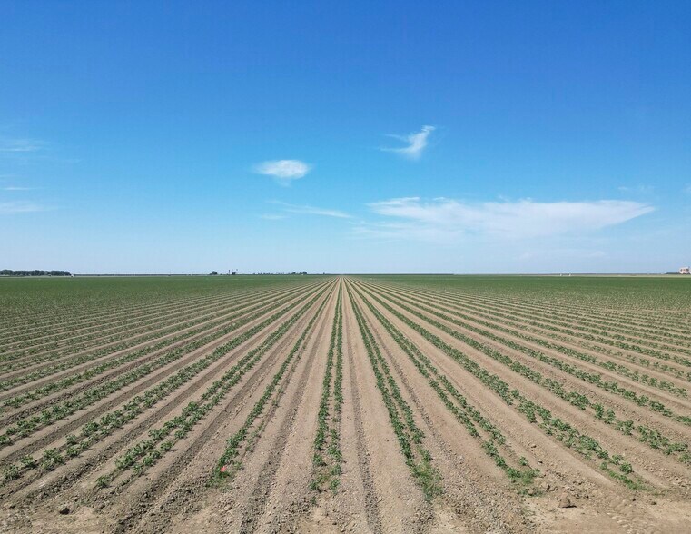 More Photos Of Oakland @ Lassen Avenue, Five Points Land For Sale