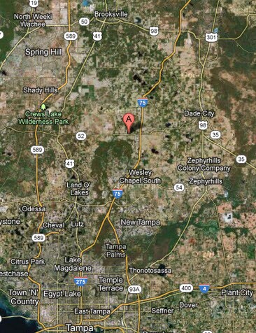 More Photos Of State Road 52, San Antonio Land For Sale