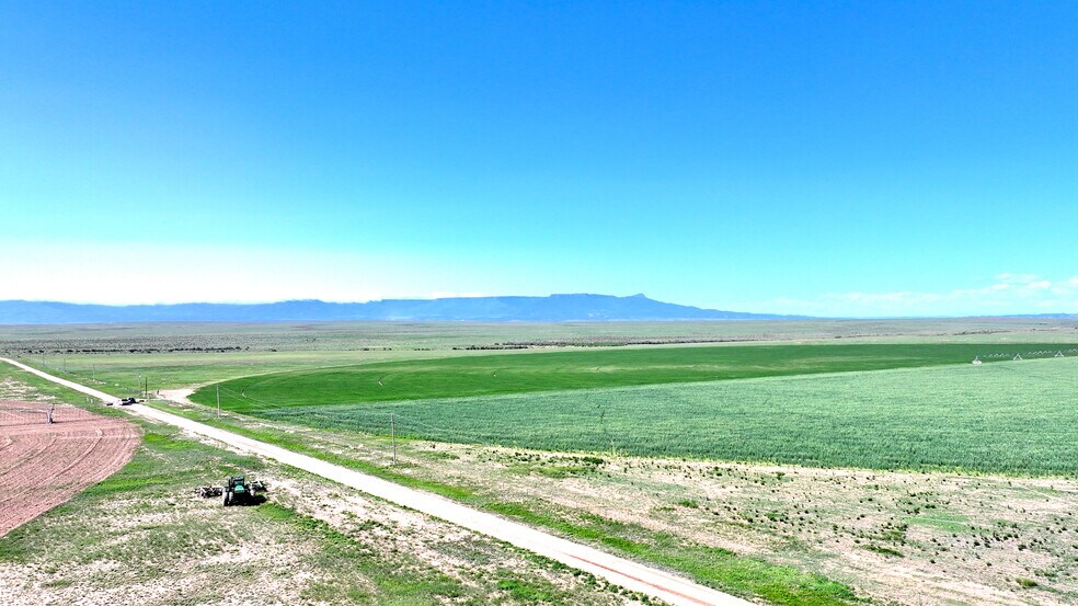 More Photos Of 48999 County Road 48, Model Land For Sale