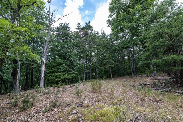 More Photos Of 22590 Criders Rd, Criders Land For Sale