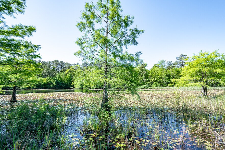 More Photos Of 1331 McCaleb Rd, Montgomery Land For Sale