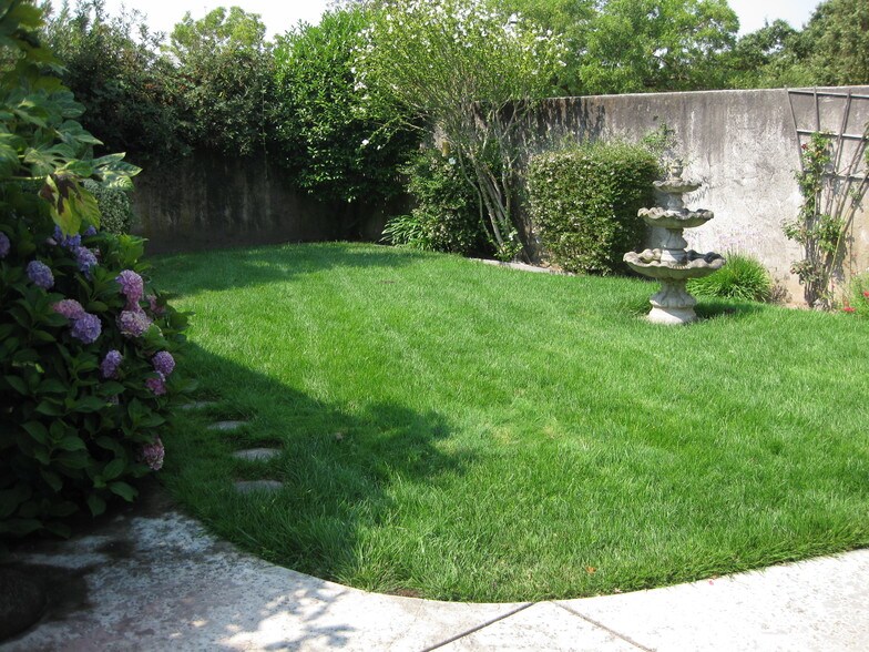 More Photos Of 1247 Broadway, Sonoma Office Residential For Lease