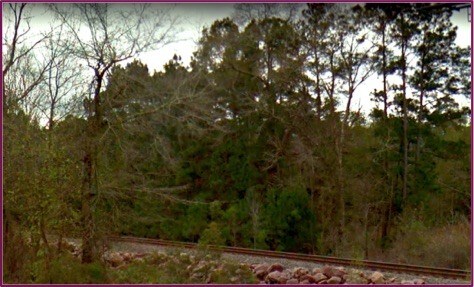 More Photos Of SEC Loop 336 & FM 2854, Conroe Land For Sale
