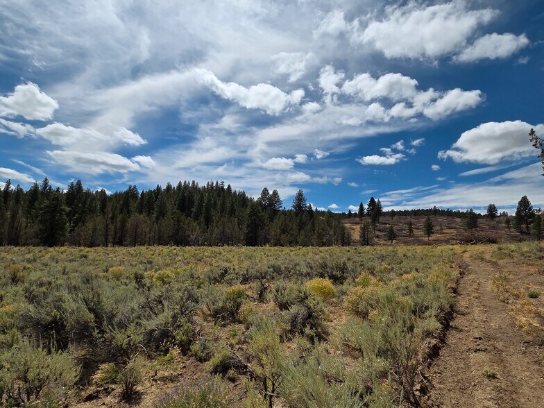 More Photos Of 32611 Tackman Rd, Prineville Land For Sale