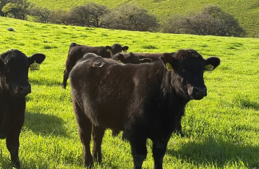 More Photos Of 48400 Reliz Canyon Rd, Greenfield Land For Sale