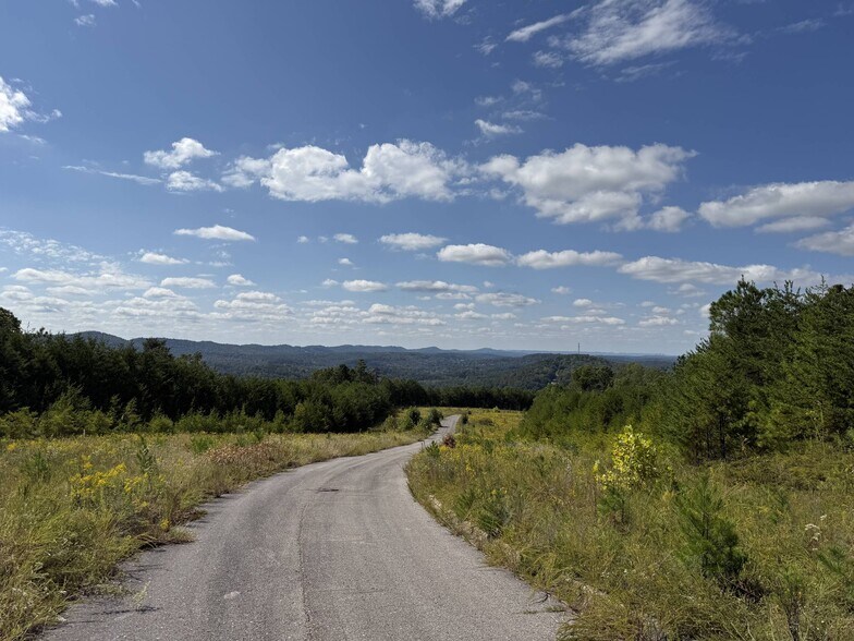 More Photos Of 6522 Old Springville Rd, Pinson Land For Sale