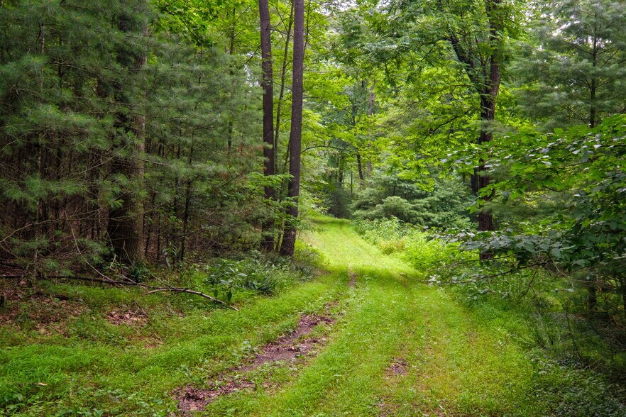 More Photos Of tbd Criders rd, Bergton Land For Sale