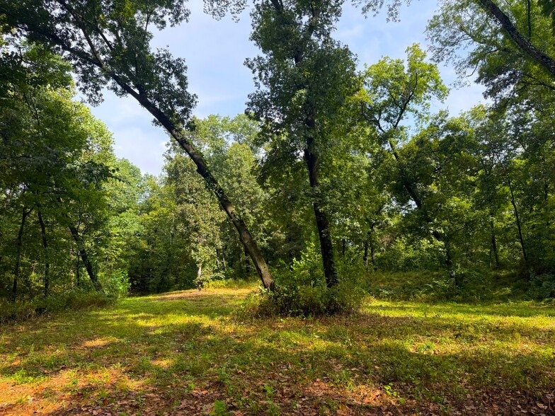 More Photos Of 17660 Golden Rd, Linwood Land For Sale