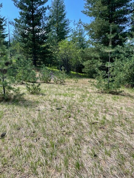 More Photos Of 280 Diamond Hitch, Kellogg Land For Sale