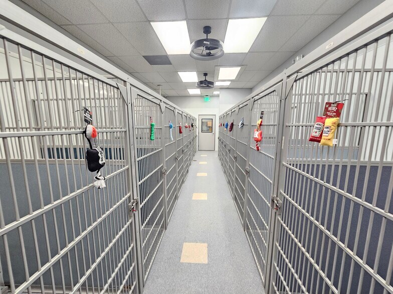 More Photos Of 18224 Parthenia St, Northridge Veterinarian Kennel For Lease